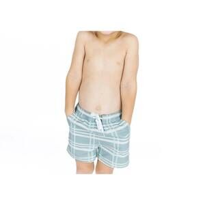 NEW EMERSON AND FRIENDS boy's plaid swim trunks in blue